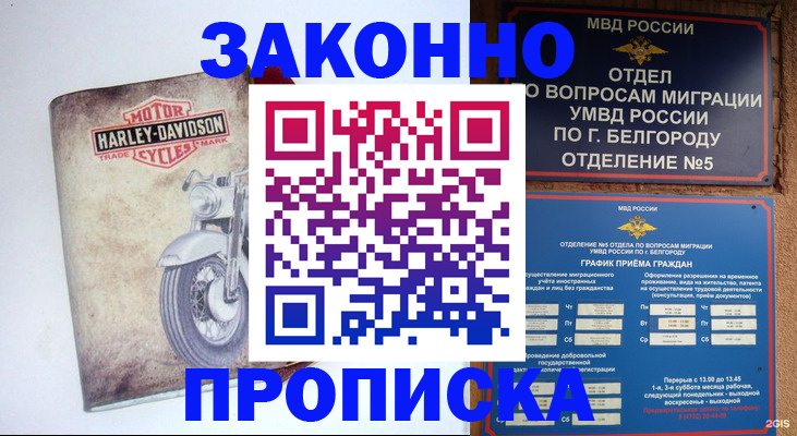 прописка для школы в Кусе